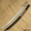 شمشیر ایرانی Lion's-sword